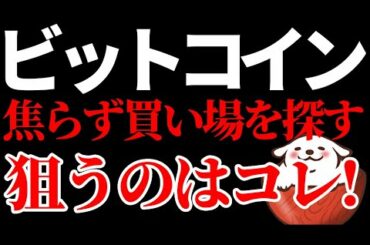 ビットコインは焦らず買い場を探す段階 今はすでに下落を打ち消したアルトに注目！