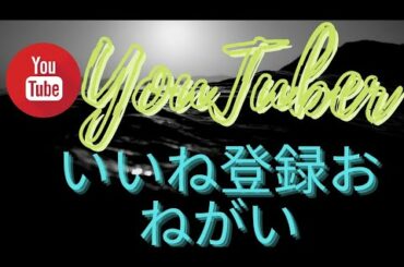#5月9日 　　#東京5レース #4歳1勝クラス