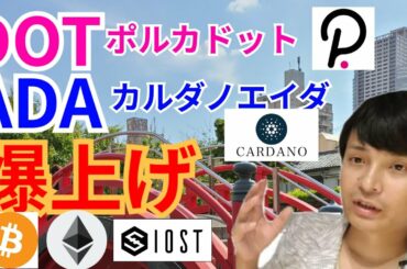 【仮想通貨BTC, XRP, ETH, IOST, DOT, ADA】ポルカドット&カルダノエイダ爆上げ後の戦略