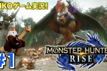 モンスターハンターライズ