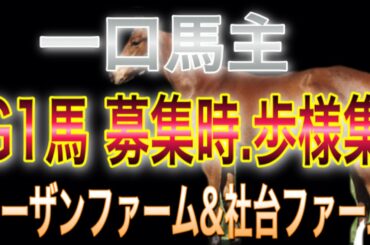 G1馬　募集時　写真　歩様集　Horse racing Race horse G1winner in Japanクロノジェネシス　三冠牝馬デアリングタクトなど【一口馬主】