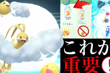 【ポケモンGO】必ず〇〇をガチるべき！？今こそ大チャンス！チルットのコミュニティデイで効率アップ出来るポイントは・・？【メガチルタリス・swablu】
