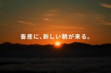 【ReFARM Biz（リファームビズ）】PV「畜産に、新しい朝が来る。」篇