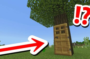 世界一大きなツリーハウス【マインクラフト】