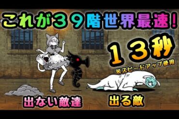 ミーニャ Tkhunt ミーニャ Tkhunt
