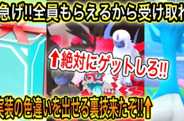 アローラ コラッタ Tkhunt アローラ コラッタ Tkhunt