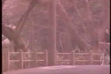 Yukie Nakama 仲間由紀恵 Moonlight to Daybreak
