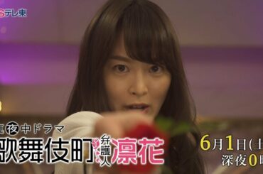 真夜中ドラマ 「歌舞伎町弁護人 凛花」 第7話 | BSテレ東