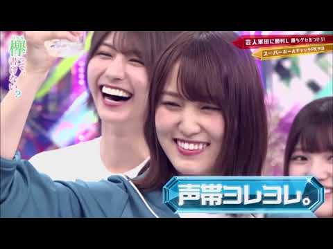 【けやかけ】なんか面白い菅井様【菅井友香】