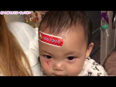 あーちゃん猫パンチ(つД`)ノだーしまファミリー普段の様子