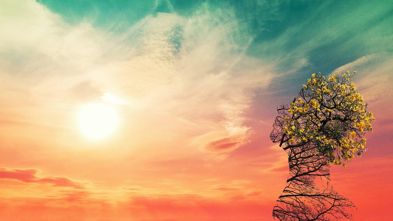 神はサイコロを振らない「徒夢の中で」【Official Audio】