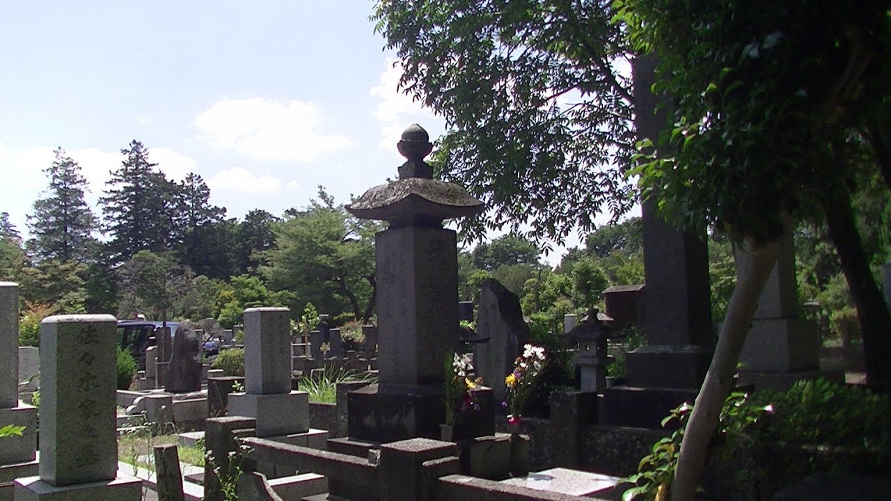 【掃苔シリーズ】田中好子と夏目雅子の墓?