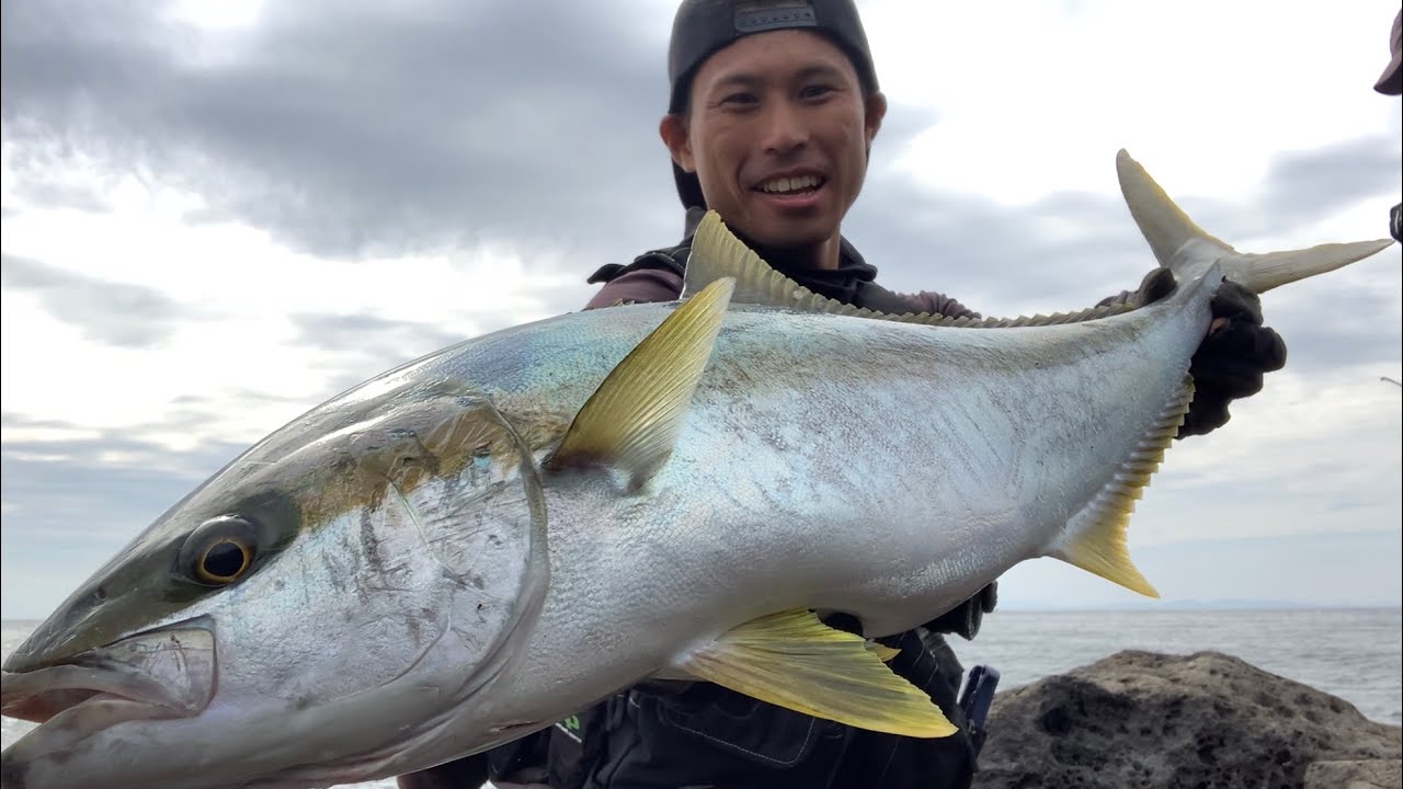 トップにヒラマサ連発でした🤗