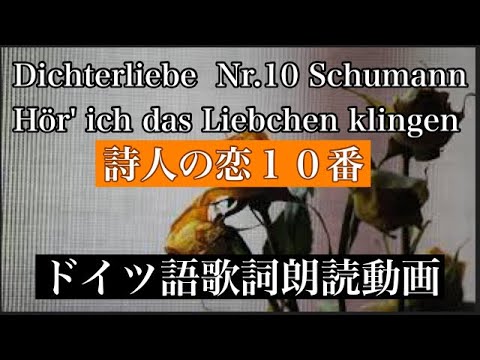 【朗読】詩人の恋 10番 シューマン Dichterliebe Nr.10 Schumann Hör' ich das Liebchen klingen