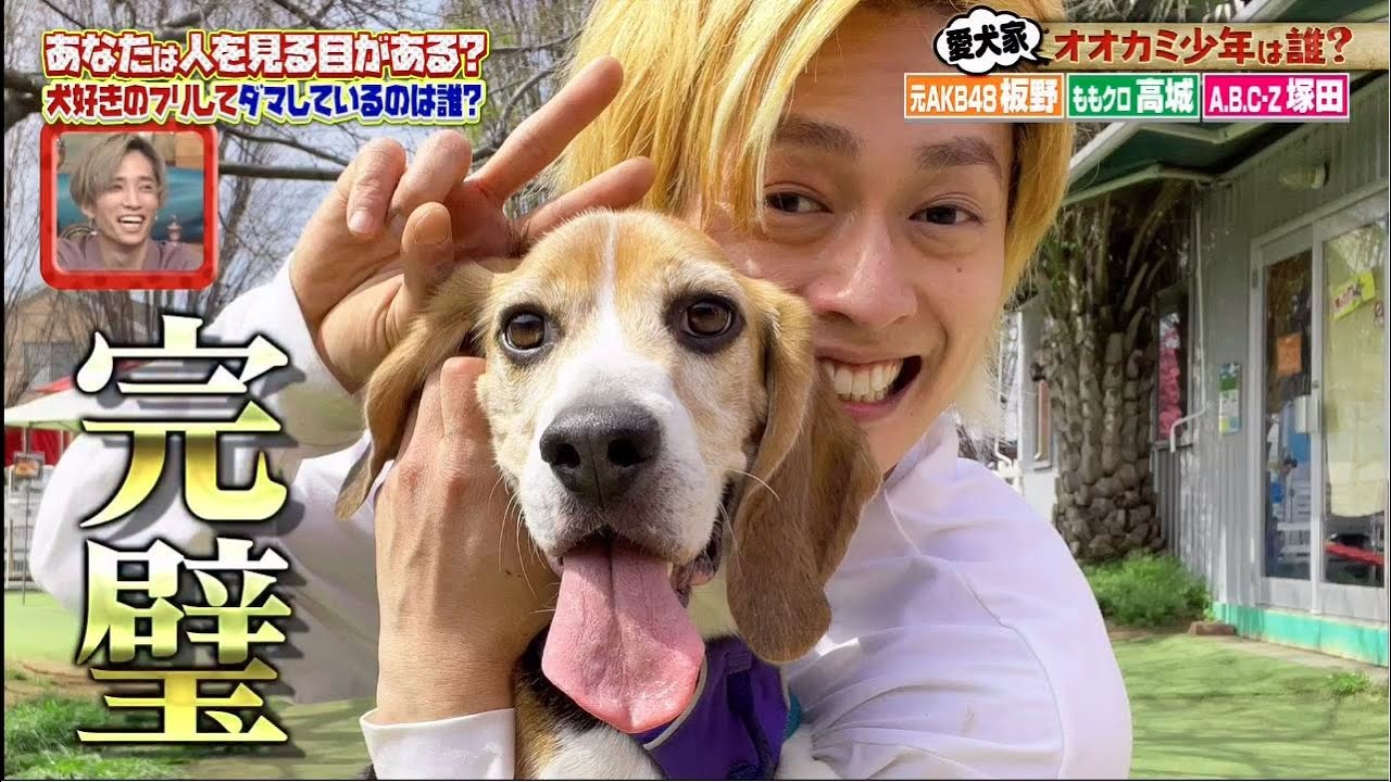 オオカミ少年☆ドラゴン桜&ももクロ参戦!あばれるドッキリ連発☆板野友美は愛犬家? 2021年6月11日