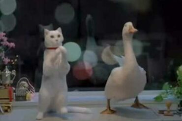 アフラック CM まねきねこダック 新入社員篇 宮﨑あおい