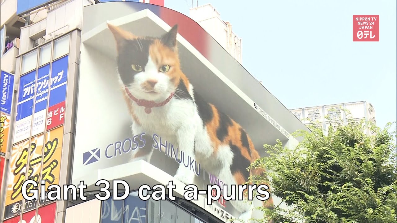 Giant 3D cat a-purrs in Shinjuku