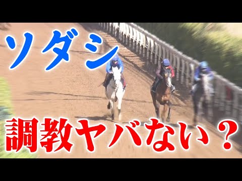 【桜花賞2021有力馬分析】ソダシ