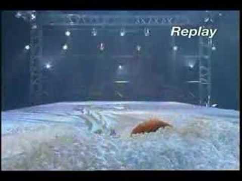 (CM)加藤あい NTTDoCoMo 料金 vsドコモダケ ビーチフラッグ篇