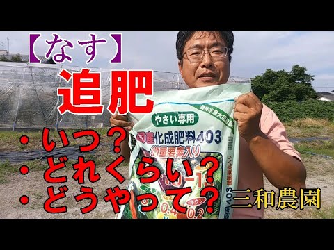ナスの追肥はタイミングと継続力です。NO310