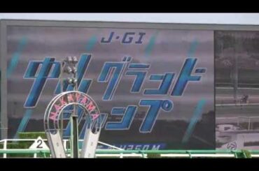 【4K、高音質、現地撮影】第19回中山グランドジャンプ(J・GⅠ)ファンファーレ