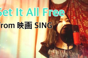 映画 「SING」挿入歌 長澤まさみ Set It All Free カバー by 山﨑ゆか