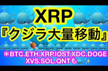 🐳リップルクジラ出現🐳『The B word』は日本時間22日午前1時頃😊 【仮想通貨 BTC.ETH.XRP.IOST.XDC.DOGE.XVS.SOL.QNT】