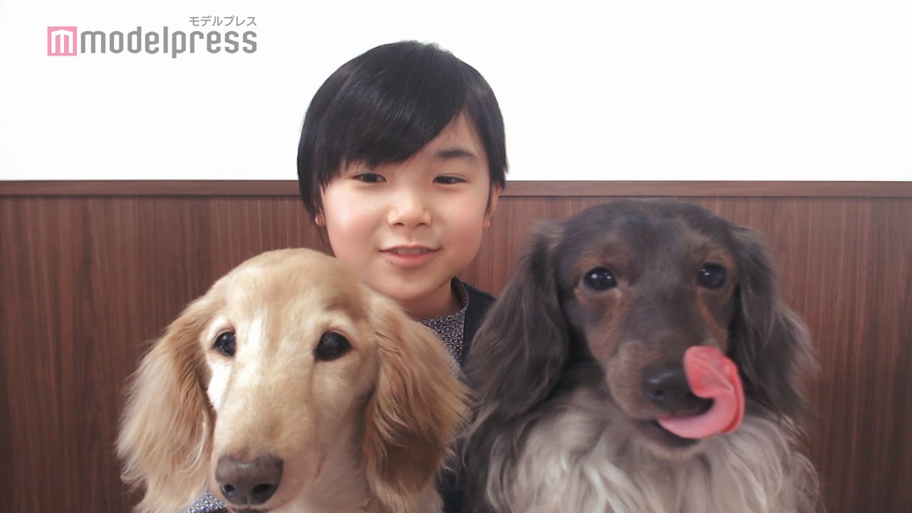 寺田心&梅沢富美男が愛犬自慢 乙葉・美絽と近況報告 サントリー新WEBCM「話そう。みんなで」