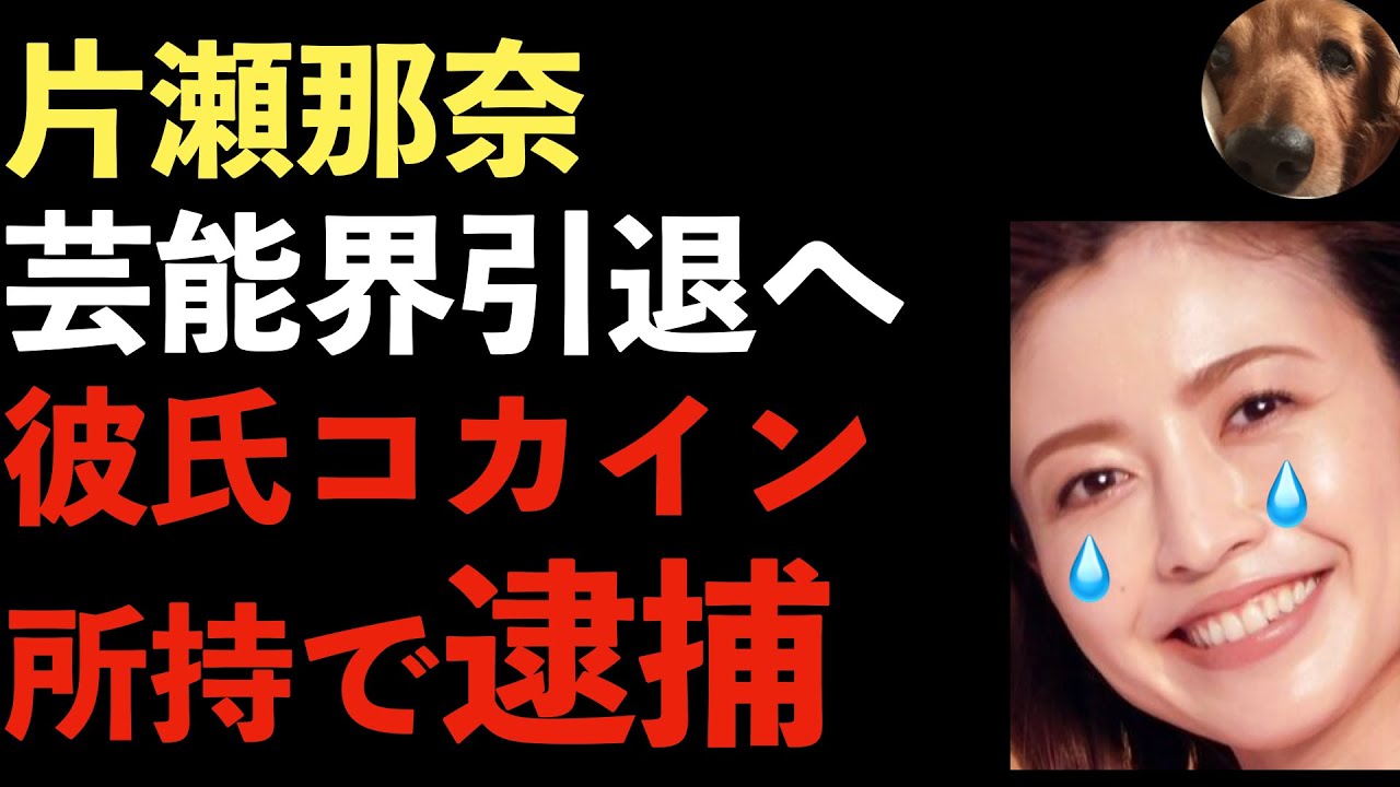 片瀬那奈の彼氏がコカイン所持で逮捕!片瀬那奈は尿検査陰性!IT経営者、IT社長、沢尻エリカ、週刊文春【Masaニュース雑談】