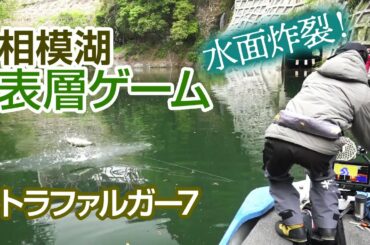 【相模湖】トラファルガー7で攻略する表層ゲーム