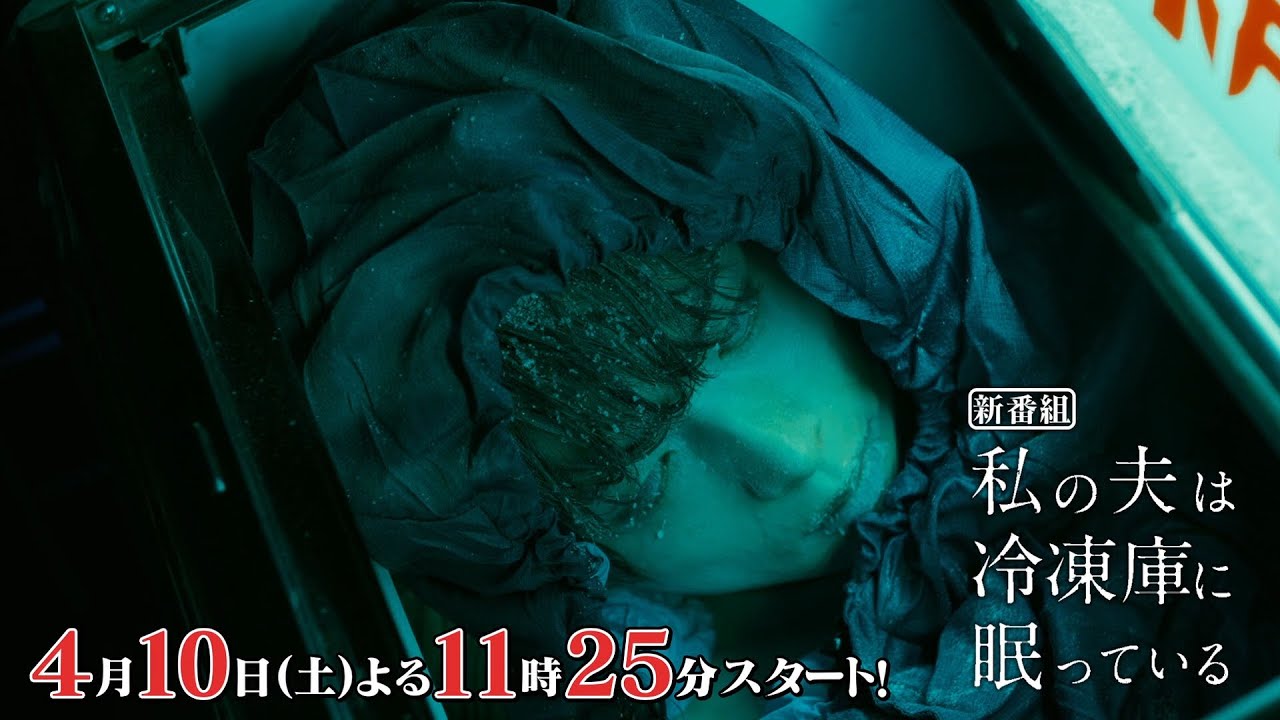 「私の夫は冷凍庫に眠っている」第1話 | テレビ東京