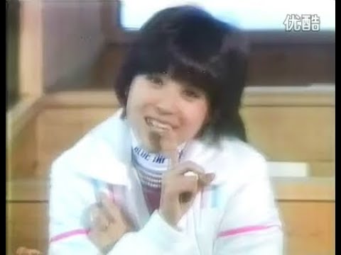 松田聖子/秘密の花園