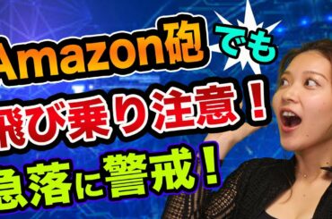 ビットコイン、まだ買うな、急落に警戒【仮想通貨の初心者】アマゾン砲と中国でビットコイン禁止の未来