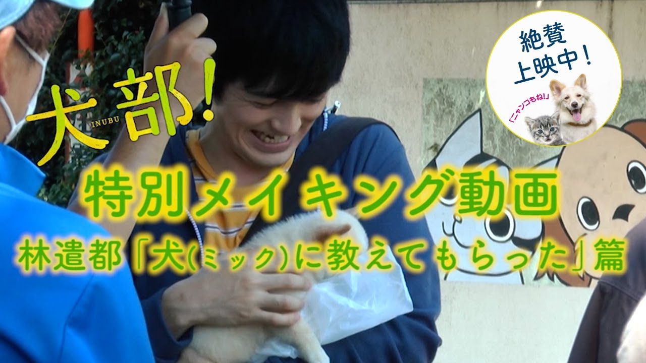 映画『犬部!』メイキング~林遣都「犬(ミック)に教えてもらった」篇~【絶賛公開中!】