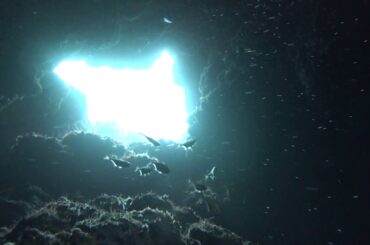 【ダイビング 宮古島】なるほどTheケーブ (Nov. 2019) 【Diving Miyakojima,Japan】Naruhodo-the-cave
