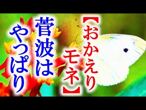 朝ドラ「おかえりモネ」第61話 鮫島チームの助っ人にはやはり…NHK連続テレビ小説ドラマ第60話感想