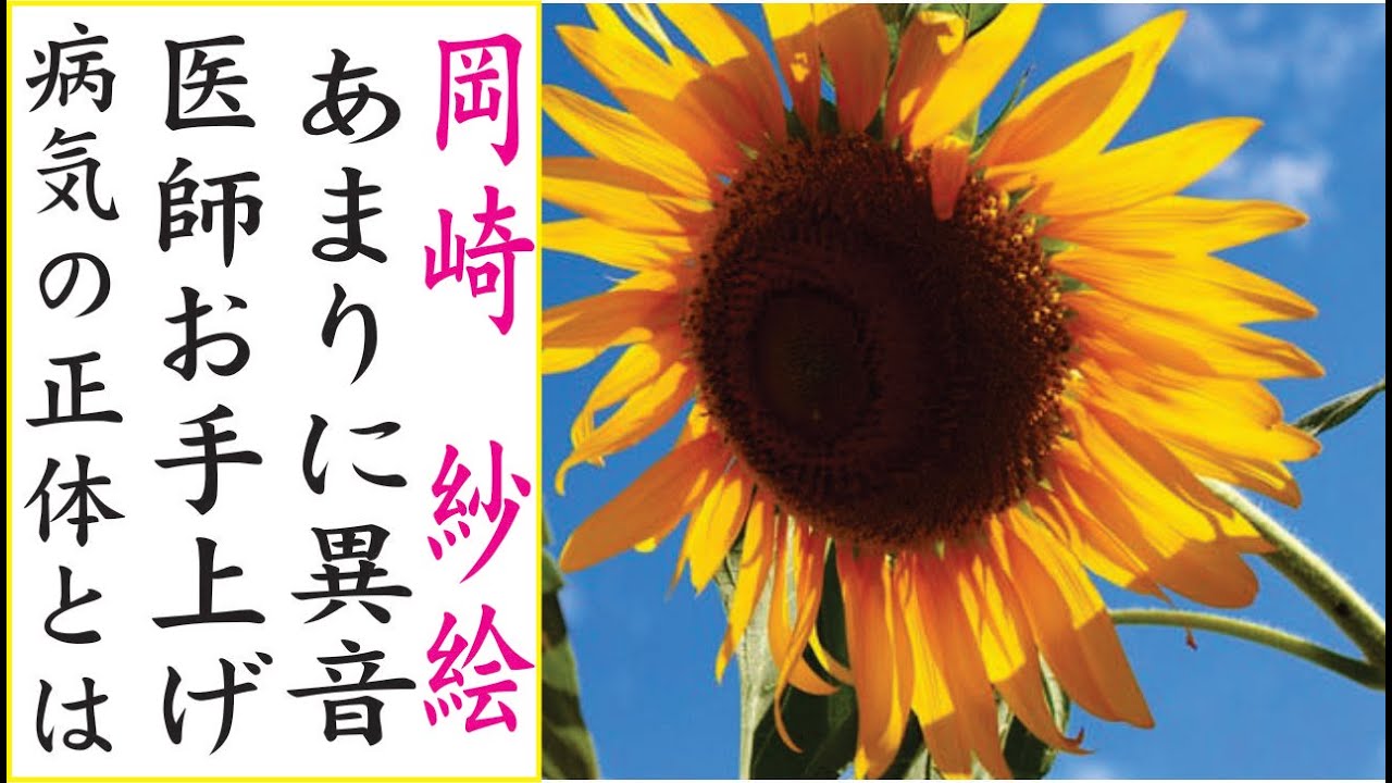 岡崎 紗絵の現在!今現在の様子がヤバすぎる・・・