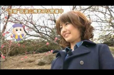 磯山さやかの旬刊!いばらき『筑波山梅まつり』(24年2月24日放送)