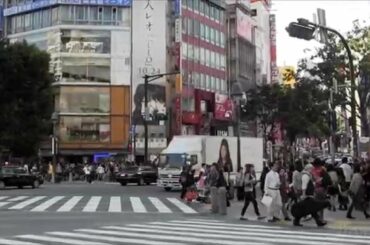 宮崎あおい earth music&ecology 宣伝トラック