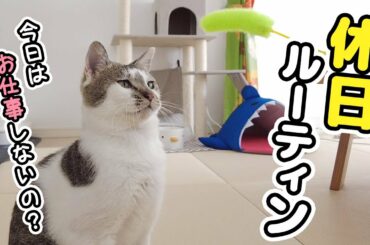 愛猫と30代子なし夫婦の休日ルーティーン
