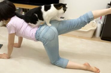 🐈筋トレしていたら猫が来てこうなった…w