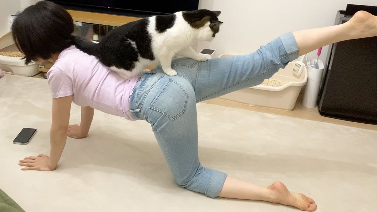 🐈筋トレしていたら猫が来てこうなった…w