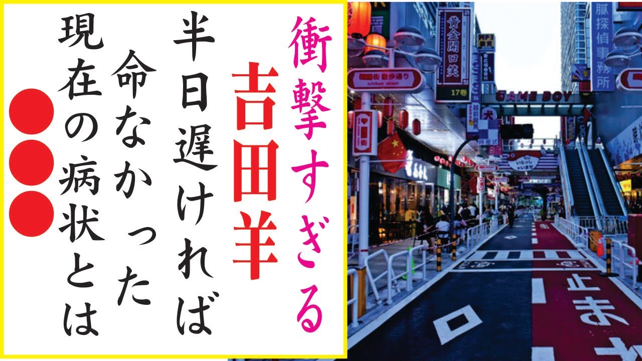 吉田羊の現在!今現在の様子がヤバすぎる・・・