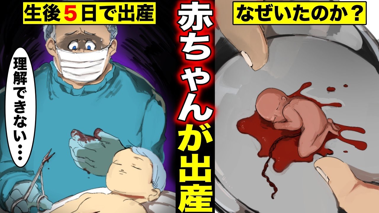【漫画】産まれたばかりの赤ちゃんが子供を出産した…なぜ産まれてすぐにお腹に子供がいたのか!?(マンガ動画)