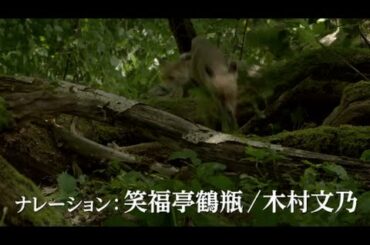 映画『シーズンズ 2万年の地球旅行』(笑福亭鶴瓶、木村文乃ナレーション入り)予告編