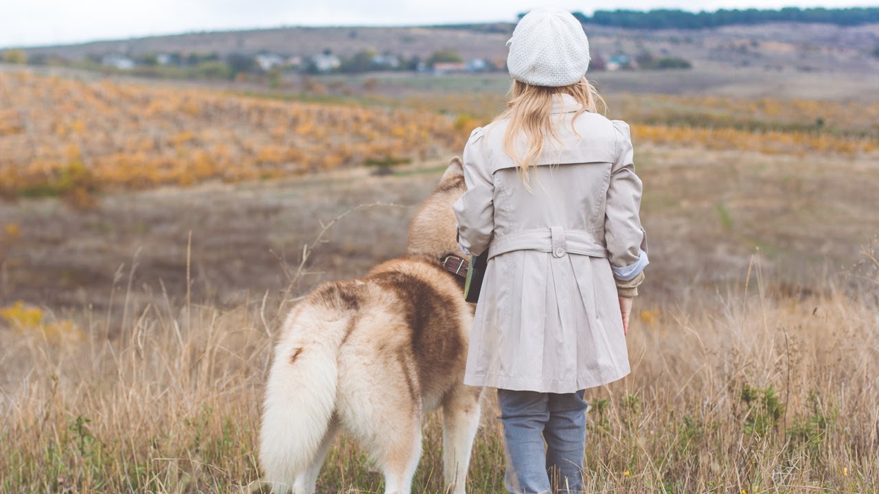 空と君のあいだに – 中島みゆき(フル)