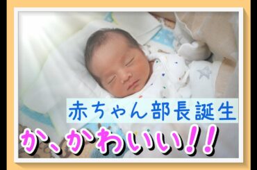 かっかわいい!!ついに、赤ちゃん部長誕生!