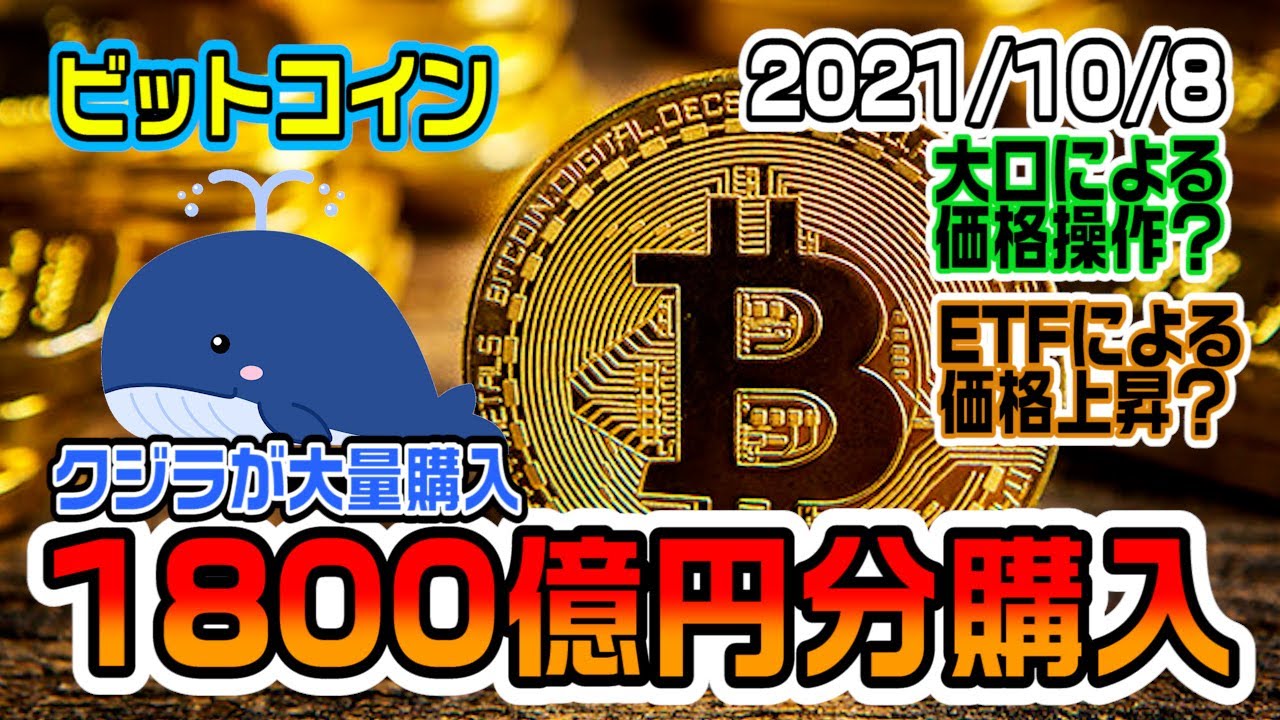ビットコインをクジラが1800億円分購入!たったの数分の出来事だった