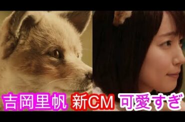 吉岡里帆のきつねのCM可愛すぎwww