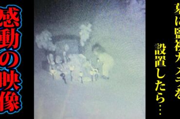 深夜のお墓、お供物を盗んだ犯人に涙が止まらない。